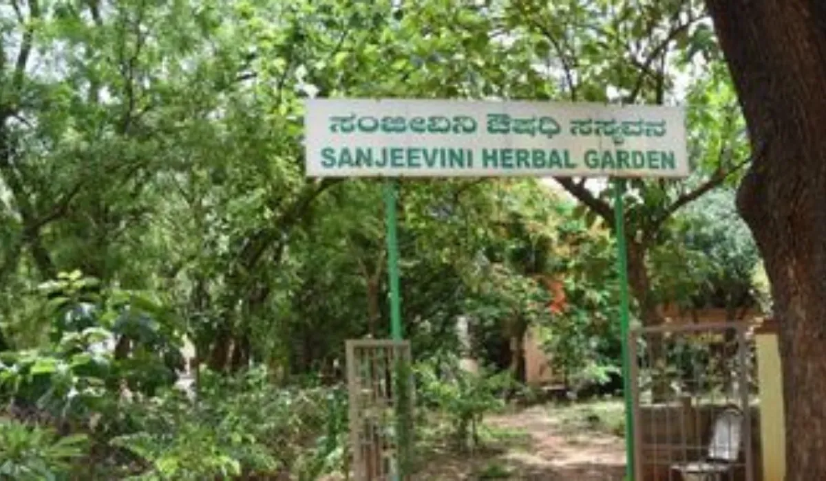 Dravya Guna